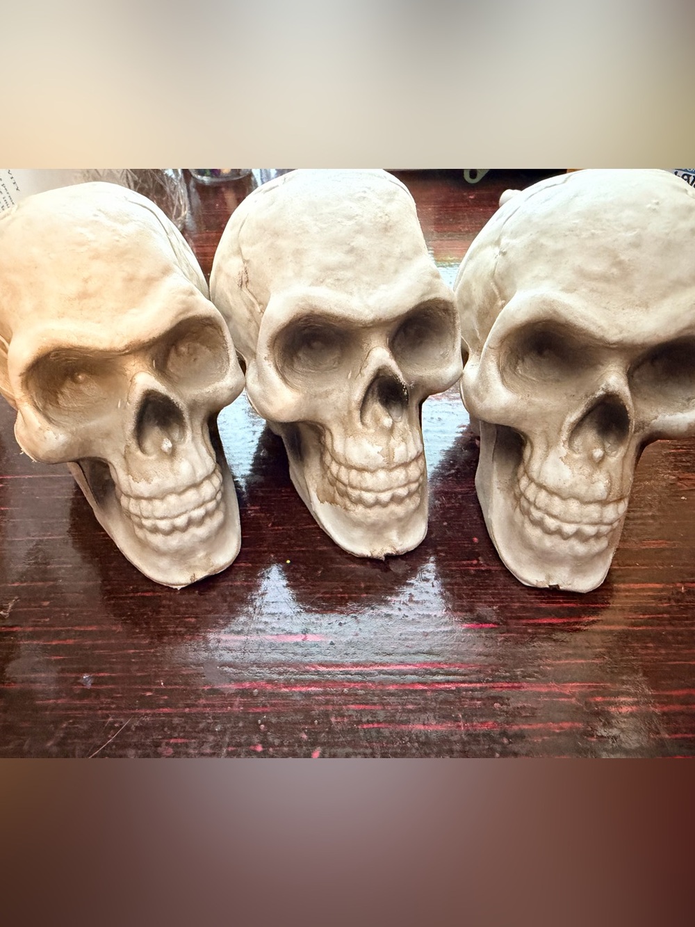 NWOT. Set of 3 Realistic Skull Halloween Decorations